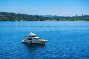 Starboard Aerial Profile